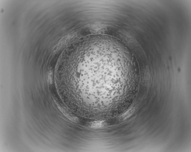 X0000056340090200508261257