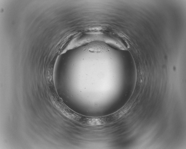 X0000056340091200508261257