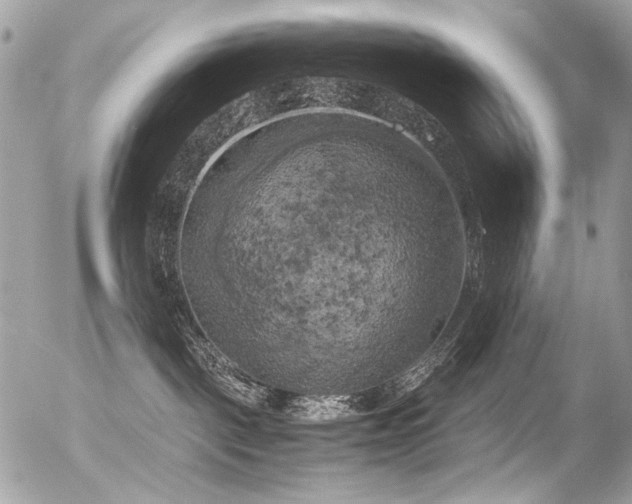 X0000056340093200508261257