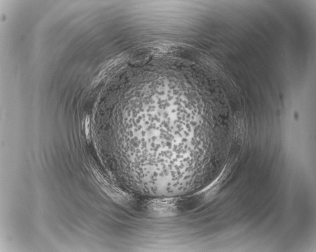 X0000056340094200508261257