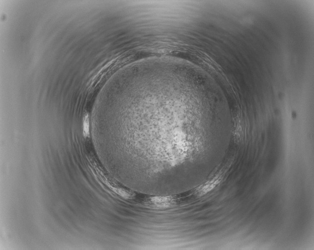 X0000056340095200508261257