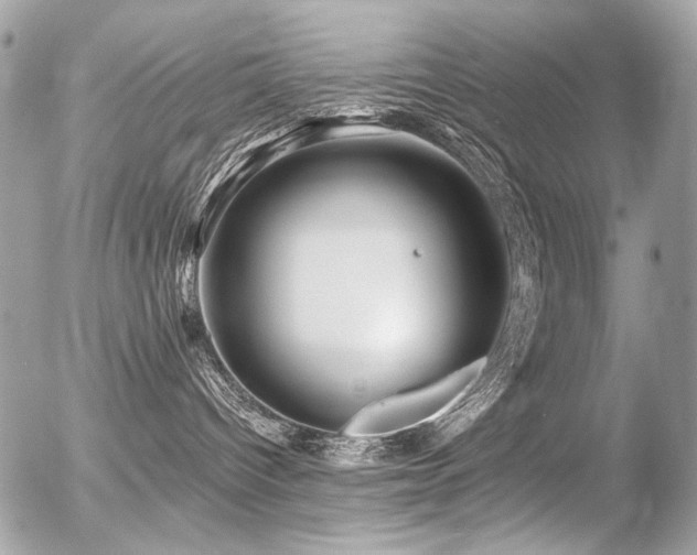 X0000056340096200508261257