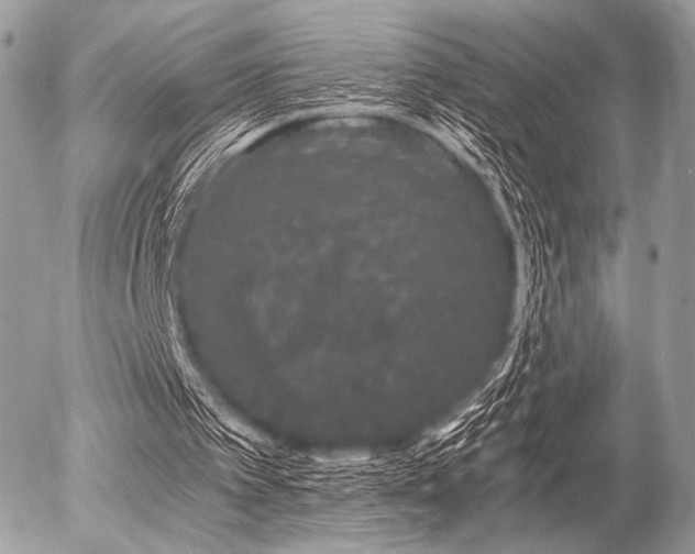 X0000056340097200508261256