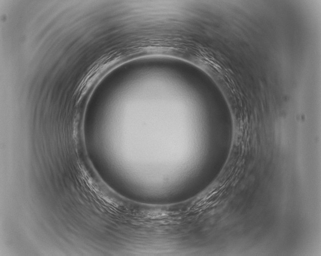 X0000056340098200508261256