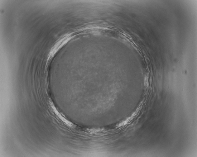 X0000056340101200508261256