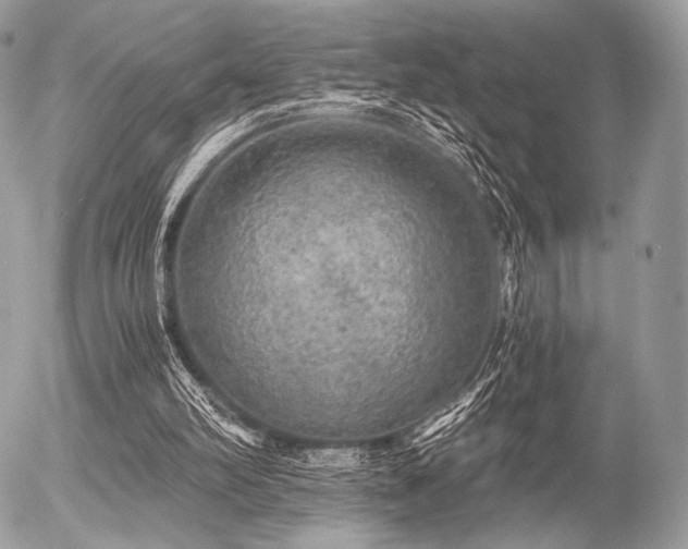 X0000056340102200508261256