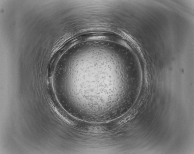 X0000056340105200508261256