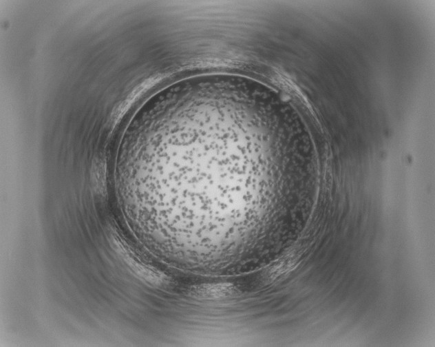 X0000056340108200508261256