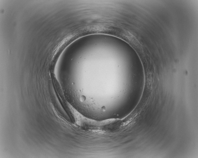 X0000056340111200508261256