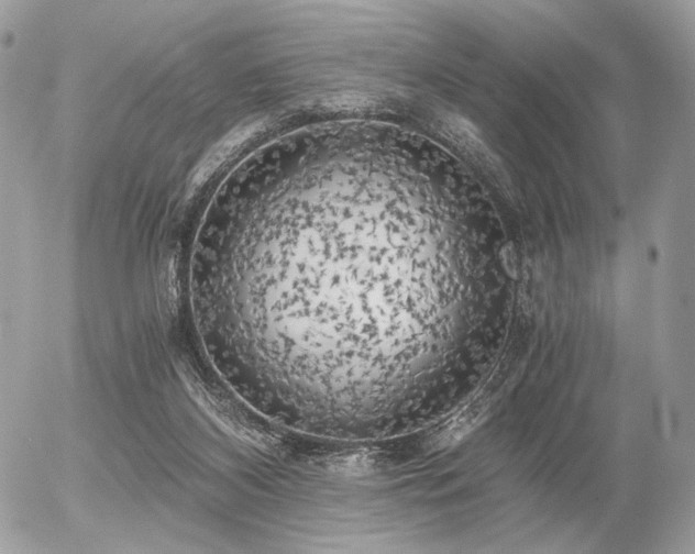 X0000056340116200508261256