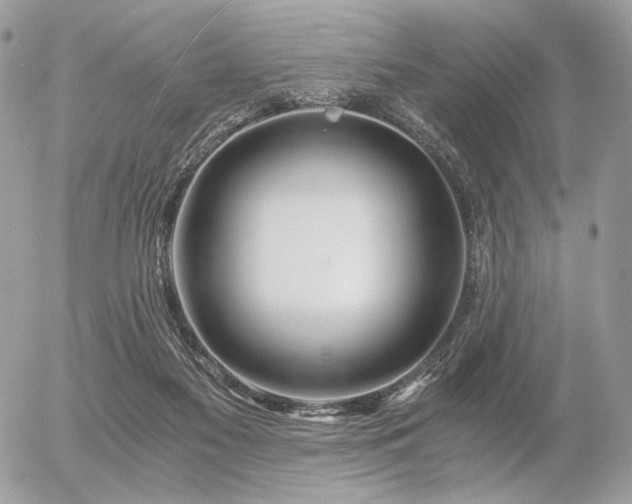 X0000056340117200508261256