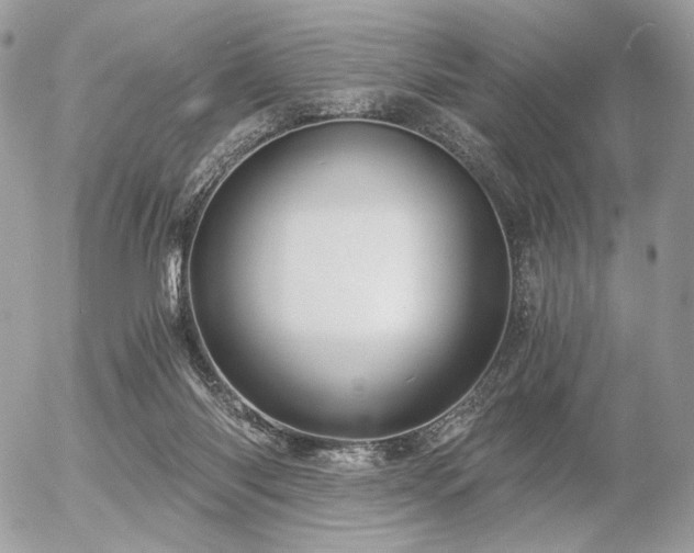 X0000056340118200508261256