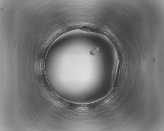 X0000056340119200508261256