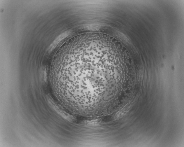 X0000056340120200508261256