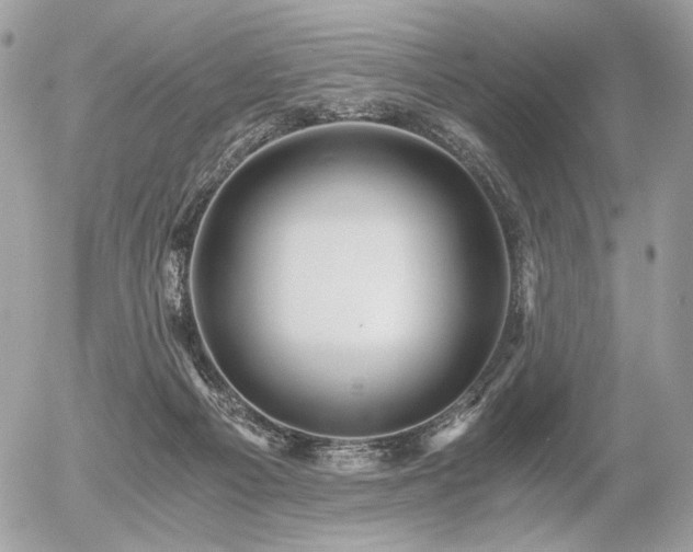 X0000056340121200508261256