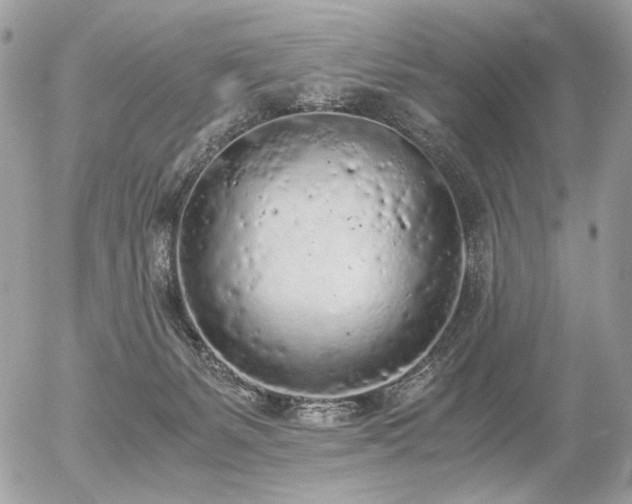 X0000056340127200508261256