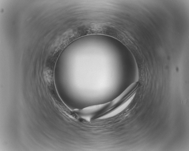 X0000056340135200508261255