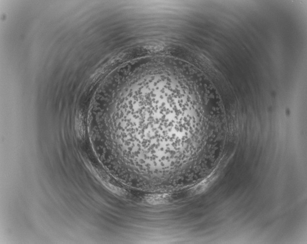 X0000056340136200508261255