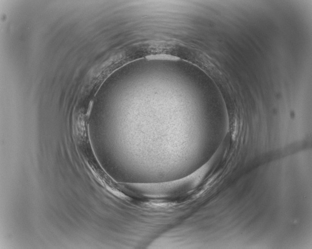 X0000056340137200508261255