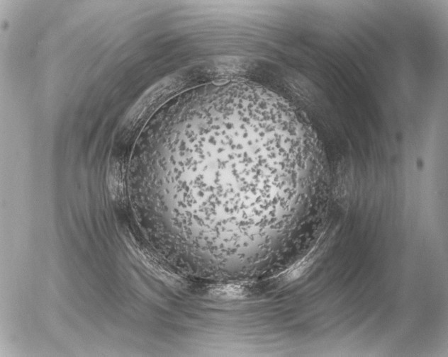 X0000056340140200508261255