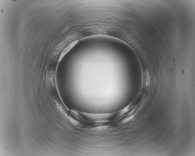 X0000056340141200508261255