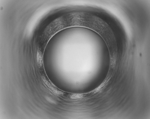 X0000056340142200508261255