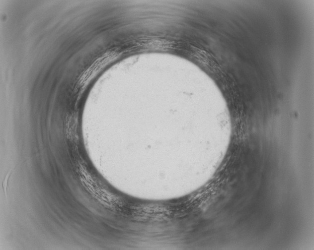 X0000056340146200508261255