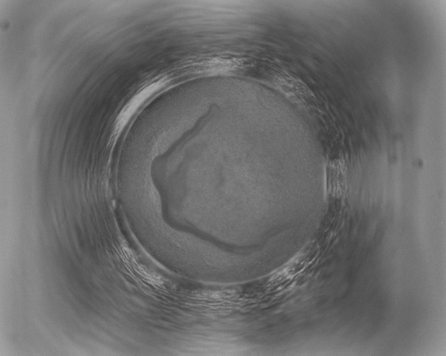 X0000056340147200508261255