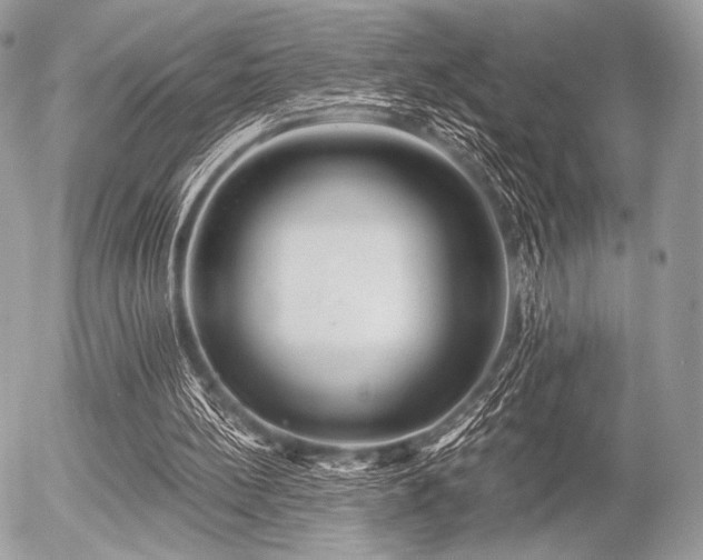 X0000056340148200508261255