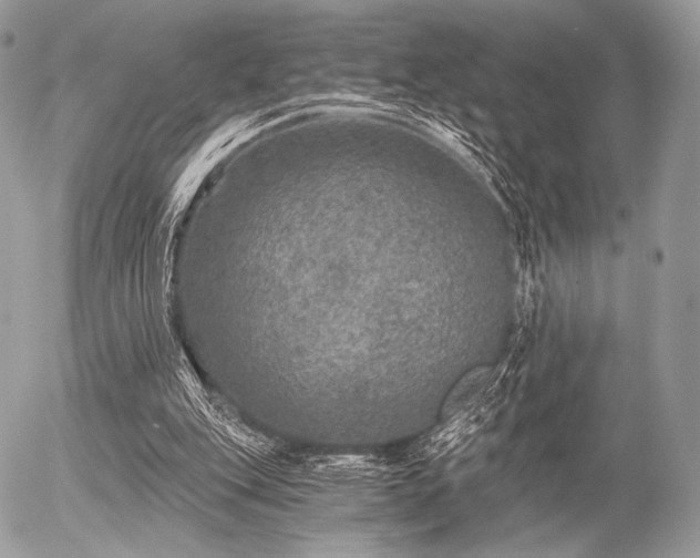 X0000056340151200508261255