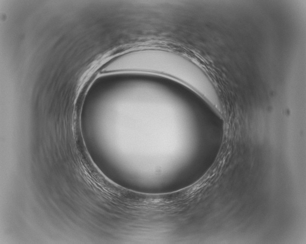 X0000056340152200508261255