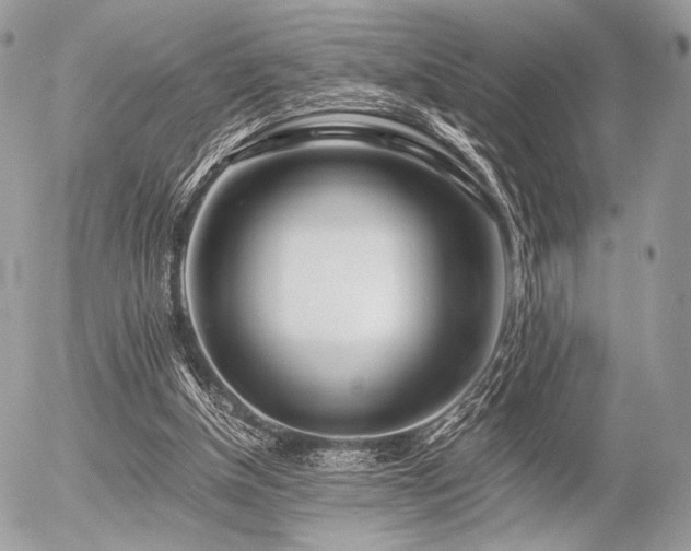 X0000056340154200508261255