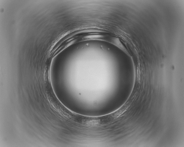 X0000056340156200508261255