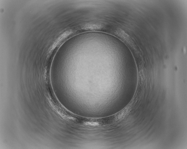 X0000056340159200508261255