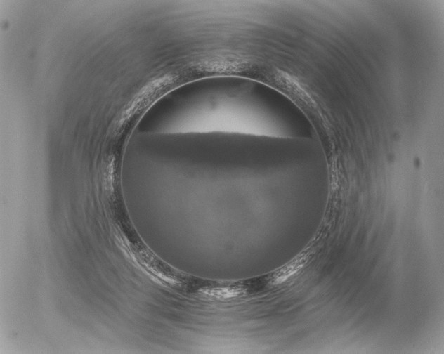 X0000056340163200508261255