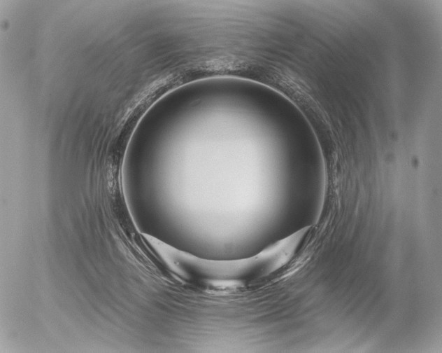 X0000056340164200508261255