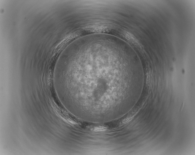 X0000056340165200508261255