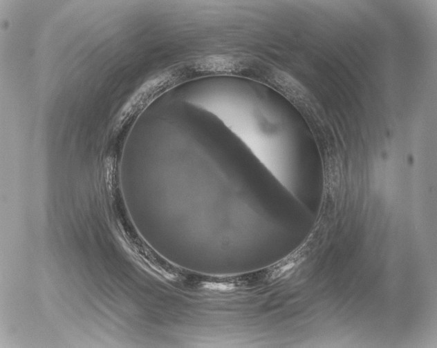 X0000056340167200508261255