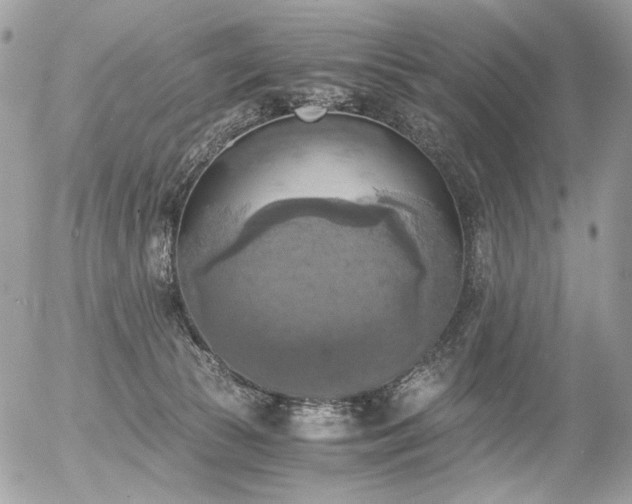 X0000056340177200508261255
