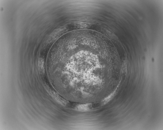 X0000056340178200508261255