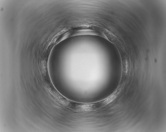 X0000056340184200508261255