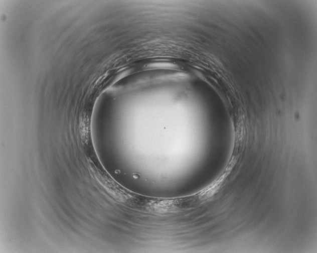 X0000056340186200508261255