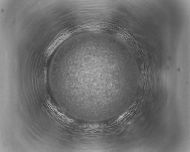 X0000056340194200508261255