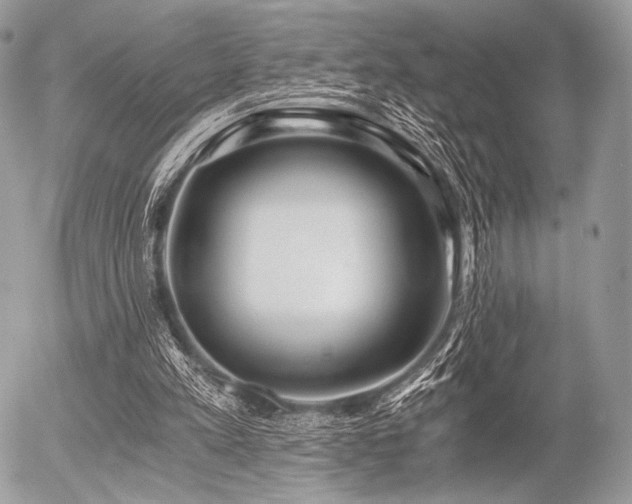 X0000056340197200508261254