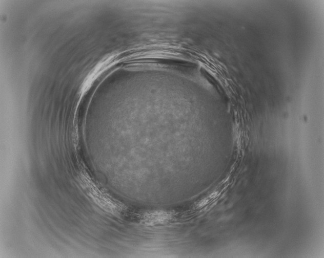 X0000056340198200508261254
