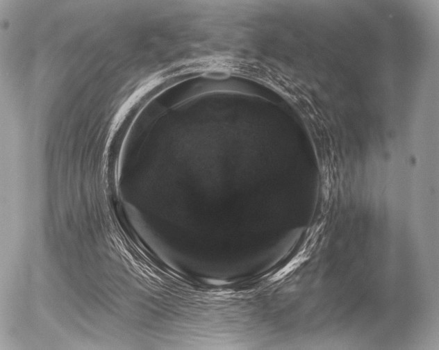 X0000056340200200508261254