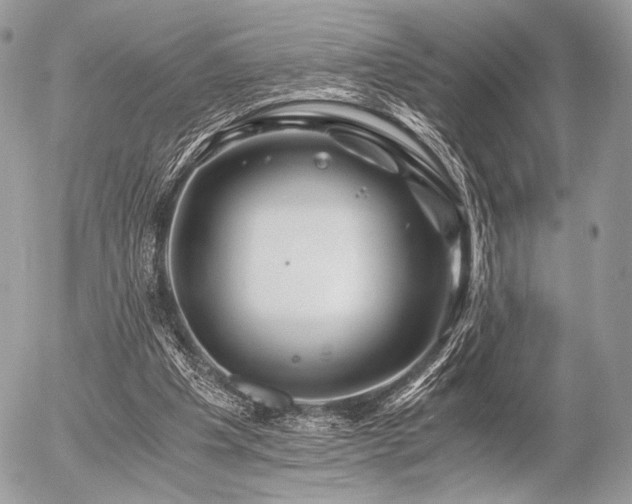 X0000056340201200508261254