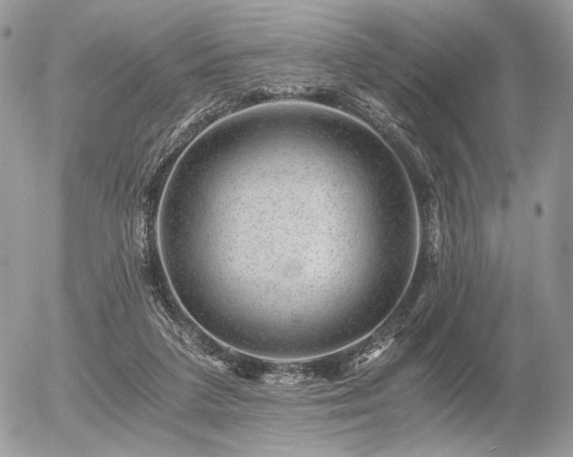 X0000056340211200508261254