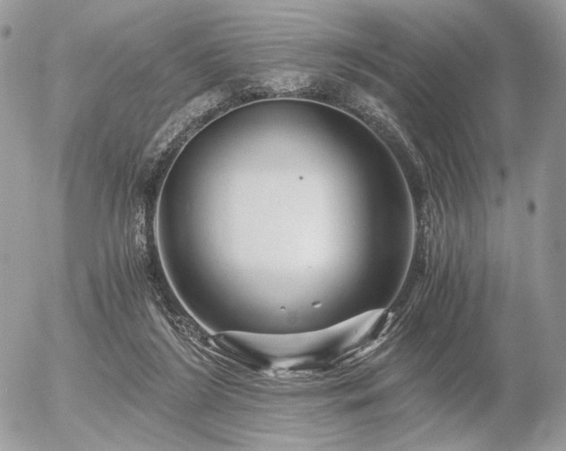 X0000056340212200508261254