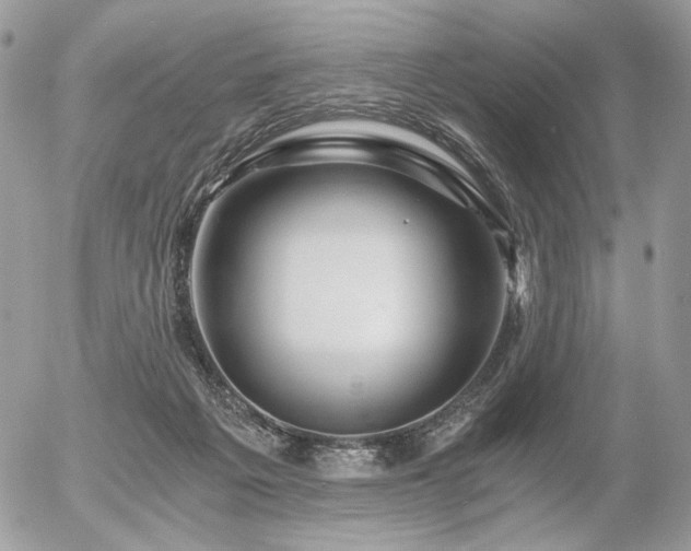 X0000056340217200508261254